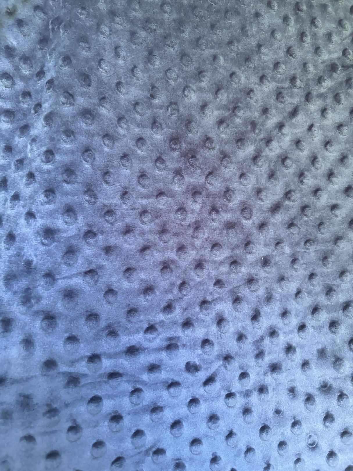 Pois Bleu marine