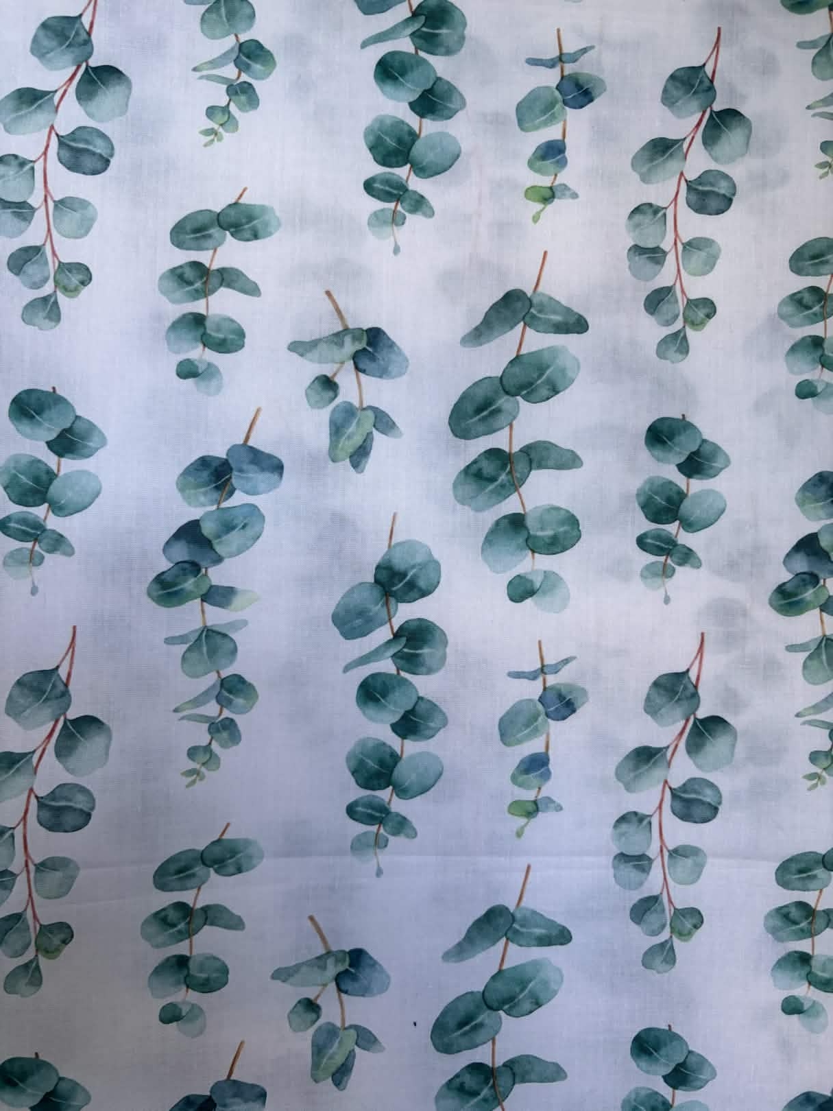 Coton feuille vert