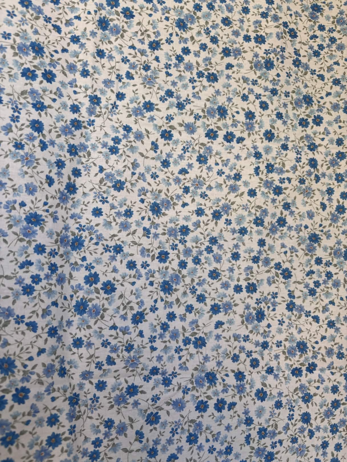 Coton fleur bleu