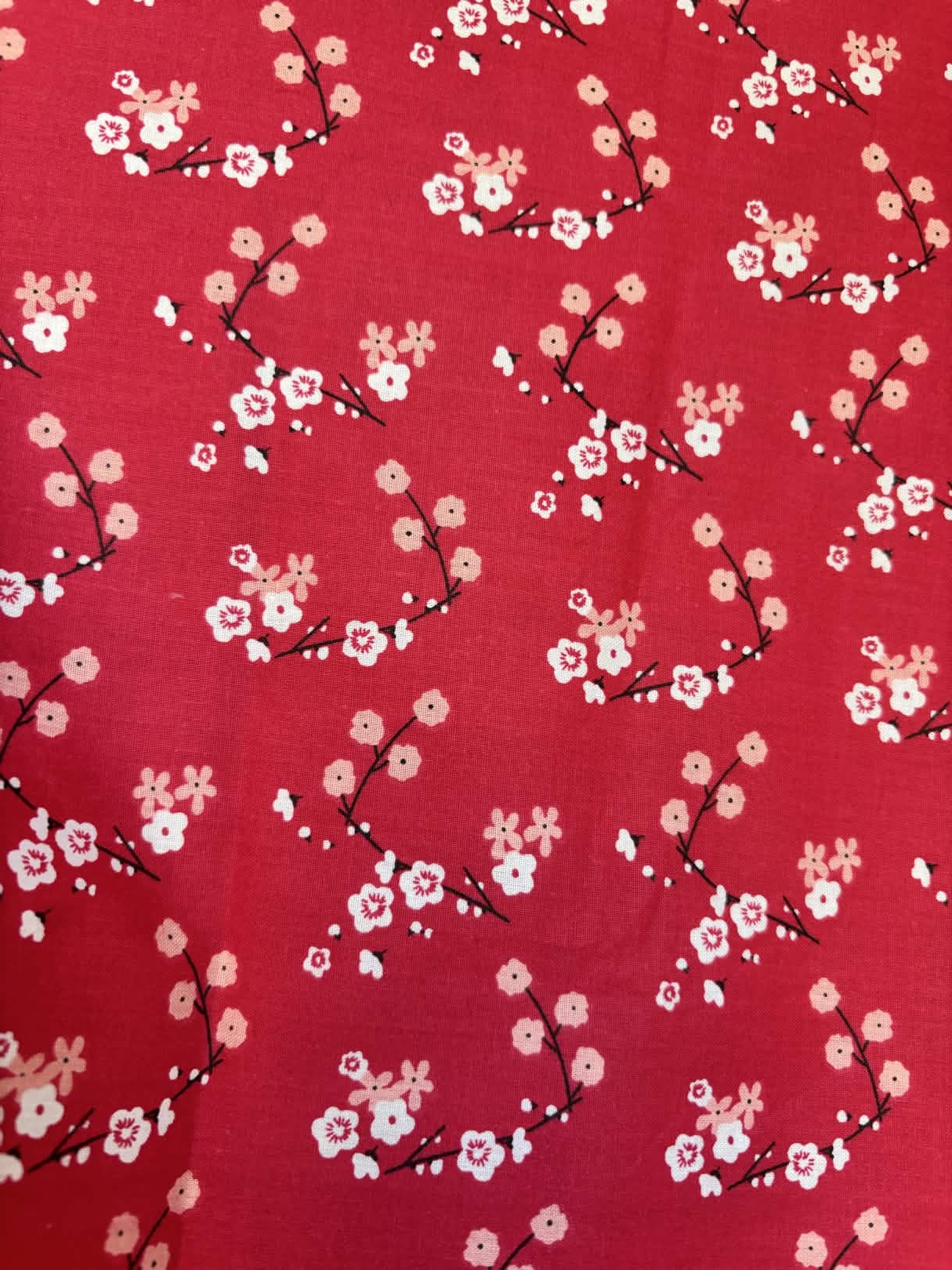 Coton fleur rouge
