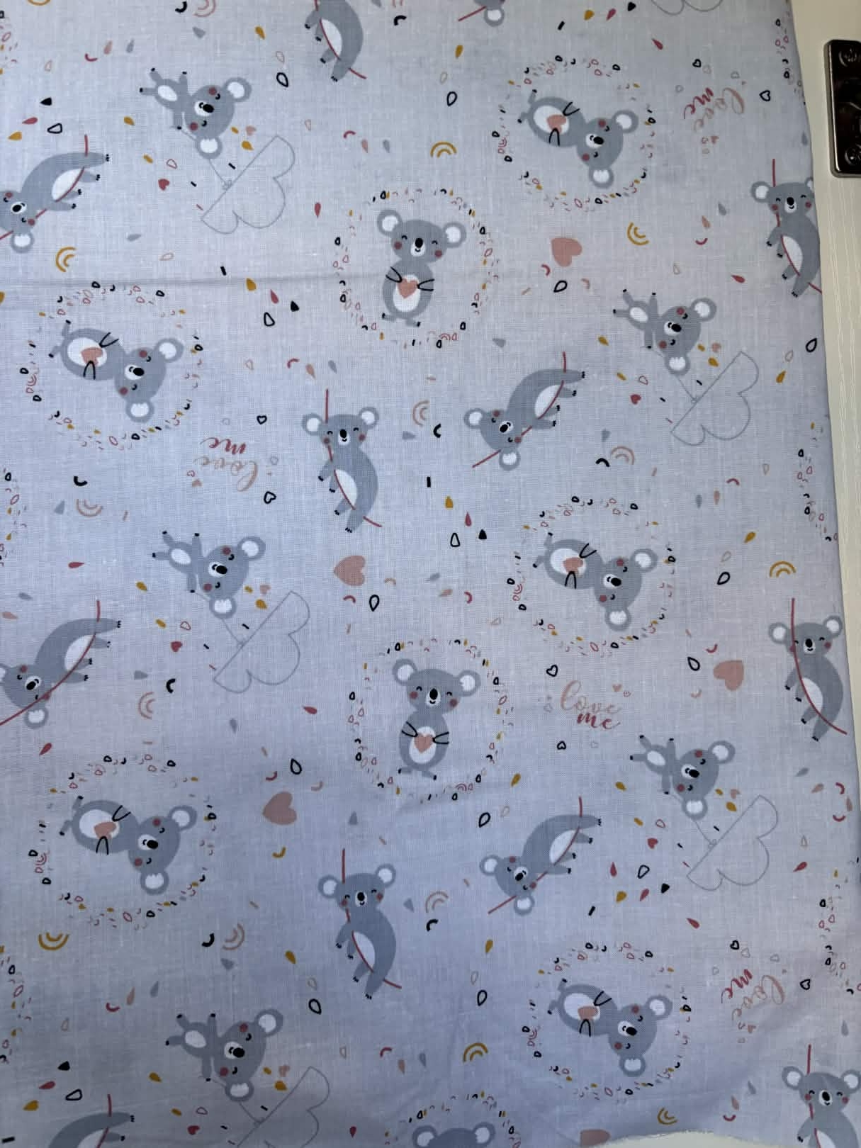 Coton koala