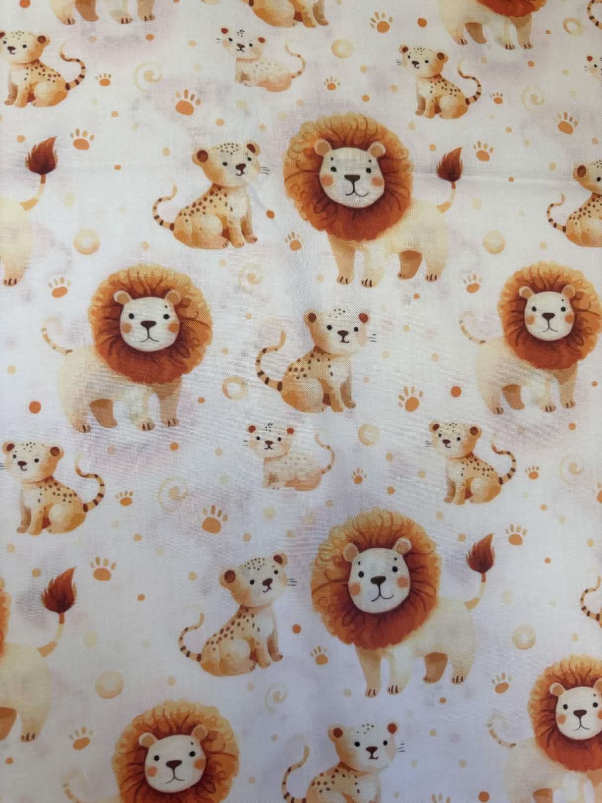 Coton lion